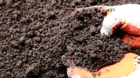Farmer hand testing organic soil by pouring to below slow motion Video stock 199218877