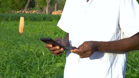 Farmer Hand Using Phone And Digital Credit Card For Online Payment, Stock Footage 134853633