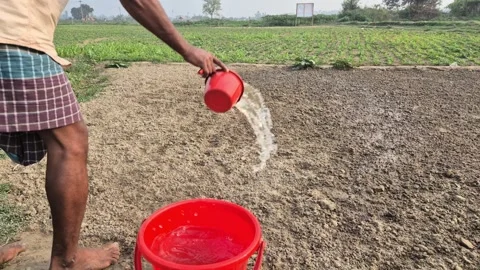 Farmer Hand Watering Vegetable Seeds in Dry Soil Field Stock Footage 337152452