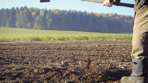 The farmer handles the land with a hoe Stock Footage 148570348