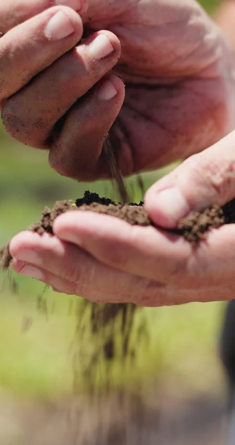 Farmer, hands and soil testing in farm, agriculture and inspection for Stock Footage 336684703
