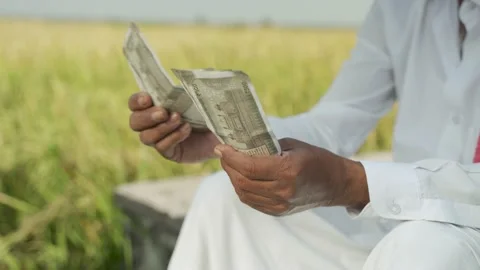 Farmer hands counting money Stock Footage 143824494