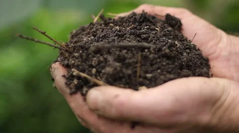 Farmer hands examining soil Stock Footage 55874659