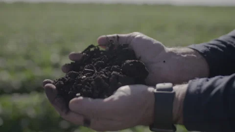 Farmer hands feeling the dirt Stock Footage 322024884