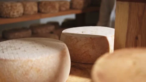 Farmer hands in gloves turning over fresh organic cheese wheel (round) at Stock Footage 135702376