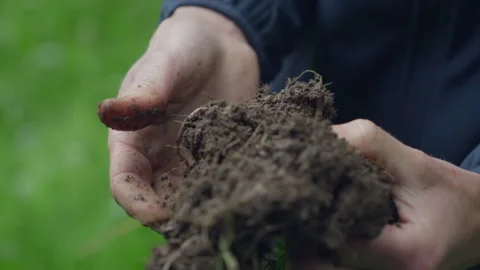 Farmer hands holding and examining rich fertile soil Stock Footage 340545471