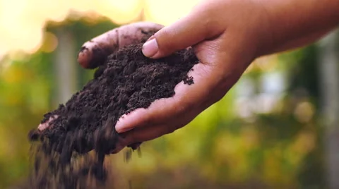 Farmer hands holding and pouring back organic soil Stock Footage 47240077
