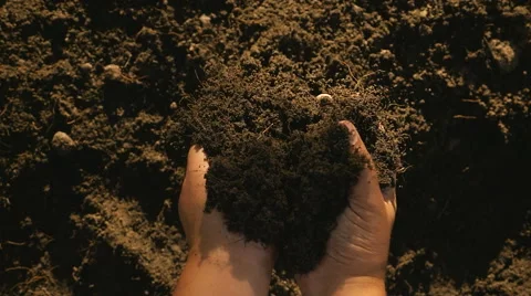 Farmer hands holding and pouring back organic soil Stock Footage