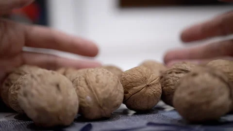 Farmer Hands Picking Walnut Fruits in Shell on the Table. Close-up Stock Footage 223380566