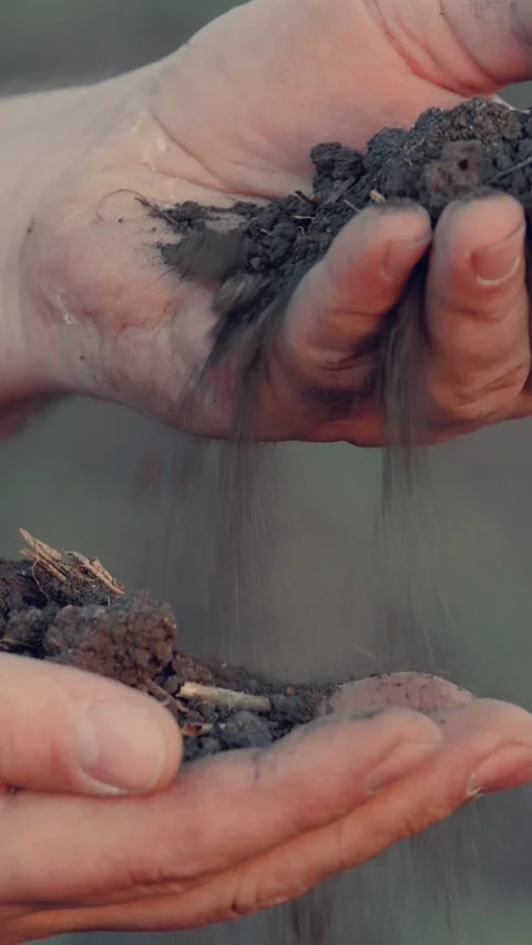Farmer hands pour into hands, priming, agriculture farm, soil testing practices Stock Footage 270832949