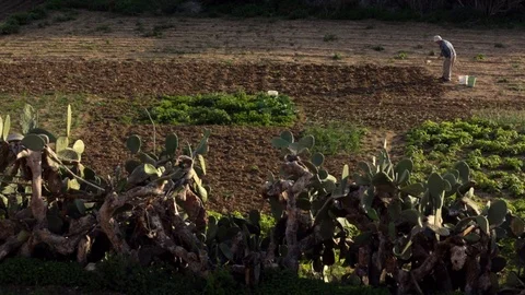 Farmer handworking on field Stock Footage 108634829