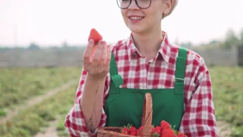 The farmer is harvesting. Stock-Footage 152174009