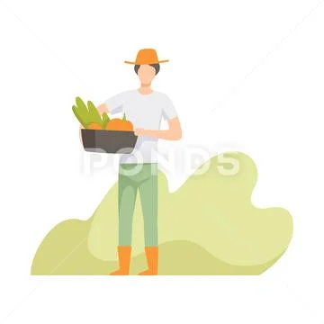 Farmer harvesting, people working in the garden, worker growing agricultural Stock Illustration