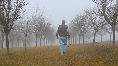 Farmer at his bare tree orchard Stock Footage 121225829