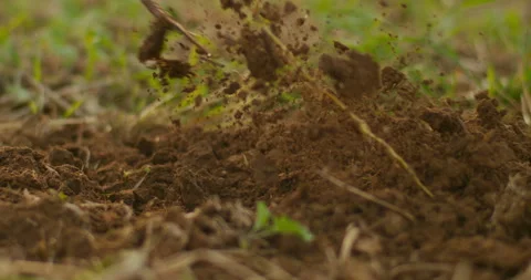 Farmer Hoeing Soil Close-Up Stock Footage 282453828