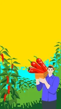 Farmer holding crate of Aleppo pepper Stock Illustration