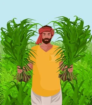 Farmer holding crops Stock Illustration