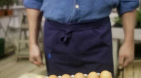 Farmer holding eggs Stock Footage 11291152