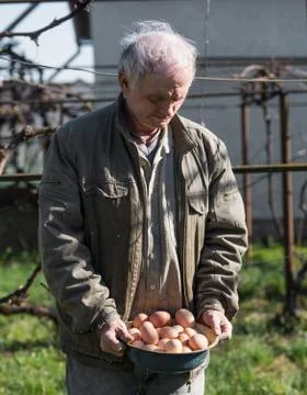 Farmer holding eggs Stock Photos