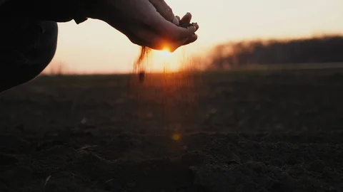 Farmer holding ground in hands close-up Stock Footage 107617875