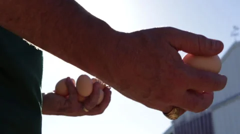 Farmer holding raw eggs 스톡 동영상 40667341