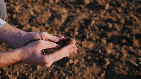 Farmer holding rich soil in hands checking fertility of land preparing for .. Stock Footage 334848726