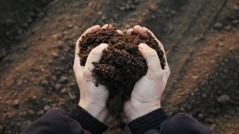 Farmer holding soil in hands close-up Stock Footage 105656231