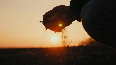 Farmer holding soil in hands close-up Stock Footage