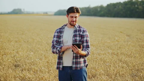 Farmer holding tablet pc, using online data management software at wheat field Stock Footage 199096316