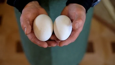 Farmer holds eggs in the palms 库存影片 126948185
