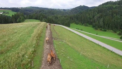 Farmer house. upper austria Video stock 92825698