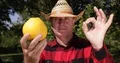 Farmer Image With a Grapefruit in Hand Make Ok Sign Good Job Gestures 4k or 4k+ Resolution