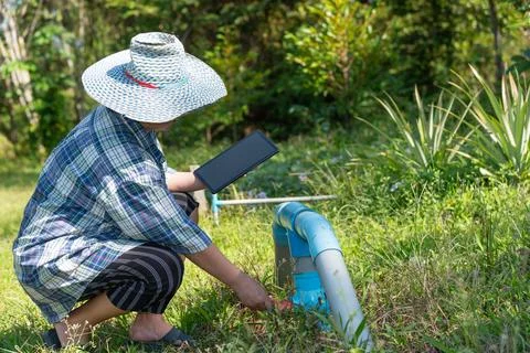 Farmer Inspecting Irrigation System Stock Photos