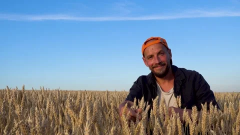 A farmer inspects his wheat field. Portrait of a man in a wheat field. Video stock 200770907