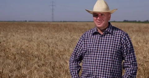 Farmer Interview Talking About Wheat Crop and Success in Agriculture Business Stock Footage 75762630