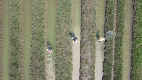 The farmer irrigates his fields Video stock 130169414