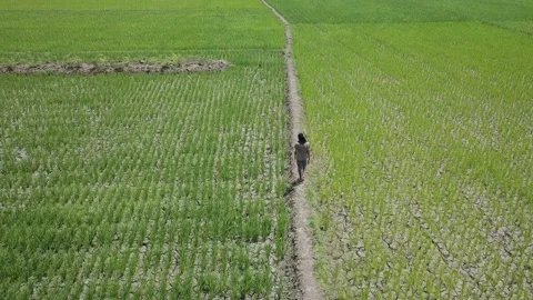 The farmer irrigates his fields Video stock 130212225