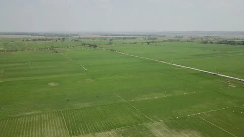 The farmer irrigates his fields Video stock 130212458