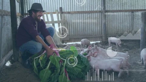 Tear Farmer Stock Videos – Royalty-Free HD & 4K Videos | Pond5