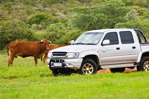 Farmer life Stock Photos