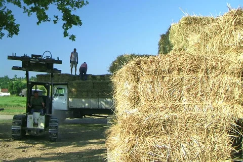 Farmer Loading Hay Stock-Footage 2745315