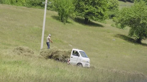 Farmer loading hay onto small truck in countryside field 스톡 동영상 301401204