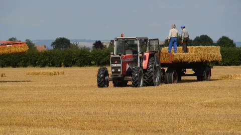 Farmer loading straw bales onto trailer at harvest united kingdom Stock Footage 77402763
