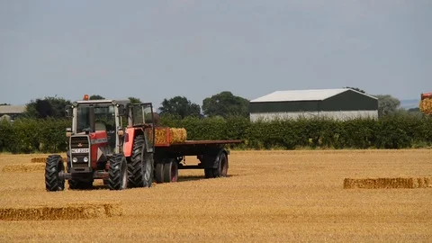 Farmer loading straw bales onto trailer at harvest time ellerton yorkshire uk Stock Footage 77405138