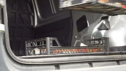 Farmer loads boxes with tomatoes in the trunk of a car. Stock Footage 161606202