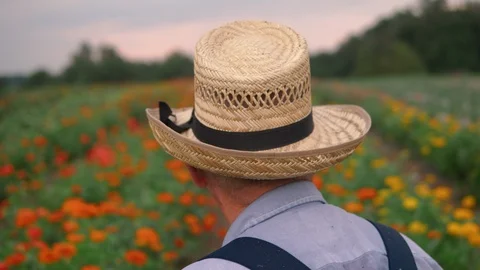 Farmer Looking at Flower Patch Stock Footage 85579269