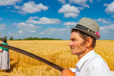 Farmer is looking at grain field Stock Photos
