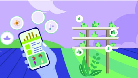 Farmer Looking Vertical Farm Data With Phone 2 Stock-Footage 315059420