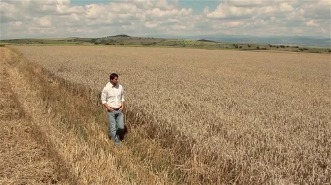 Farmer Looking at a Wheat Field Work Satisfaction Concept Stock Footage 42046376