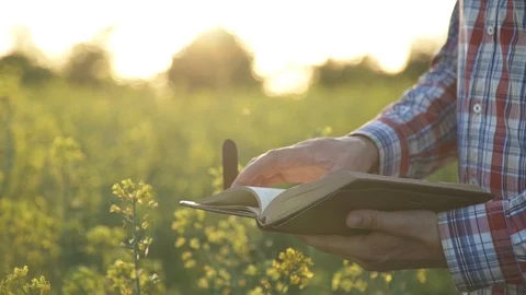 The farmer looks at a notebook on the field Stock Footage 98358490